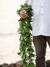 Load image into Gallery viewer, Maile lei for weddings - honolulu hawaii