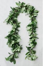 Load image into Gallery viewer, Green Maile  lei - honolulu Hawaii