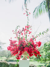 Load image into Gallery viewer, Urn Rentals