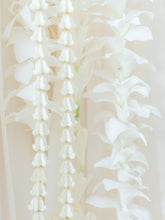 Load image into Gallery viewer, Specialty Bridal Lei - Tropical